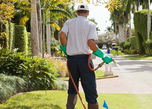 About Nespelem WA Pest Control Pros